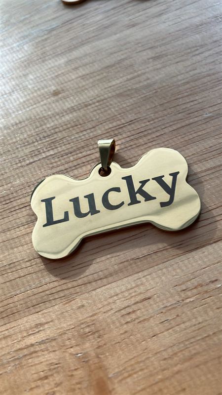 Médaillon pour chien gravé « Lucky »