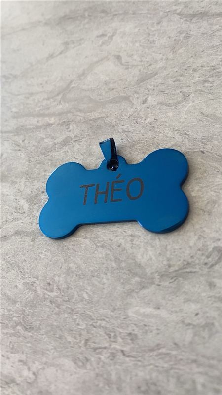 Médaillon bleu pour chien gravé « Théo »