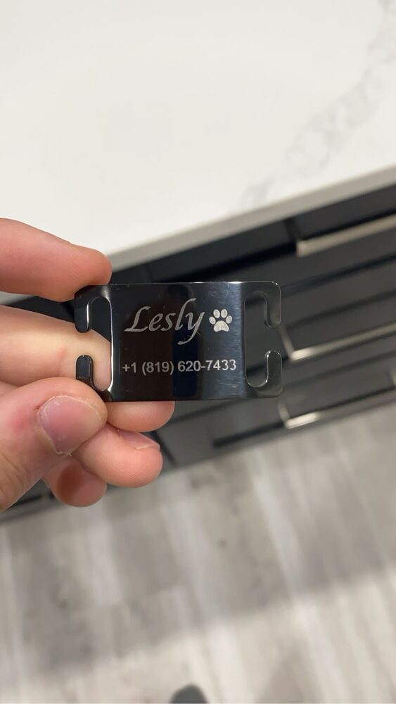 Médaillon pour chien gravé « Lesly », Gravure RF