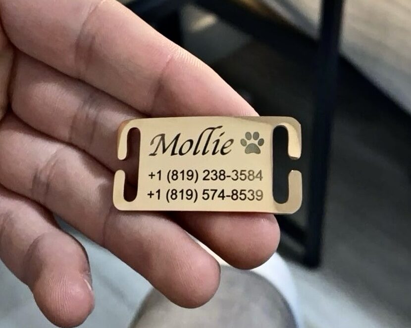 Médaillon pour chien gravé « Mollie »
